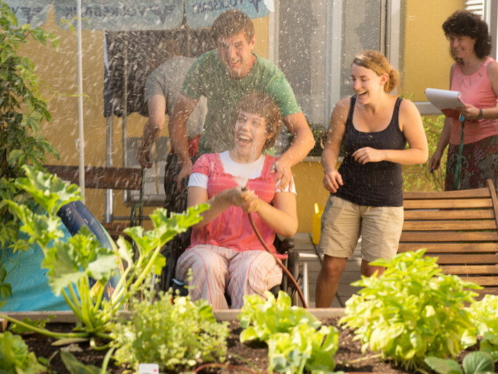 Vier Leute beim Pflanzengießen im Garten