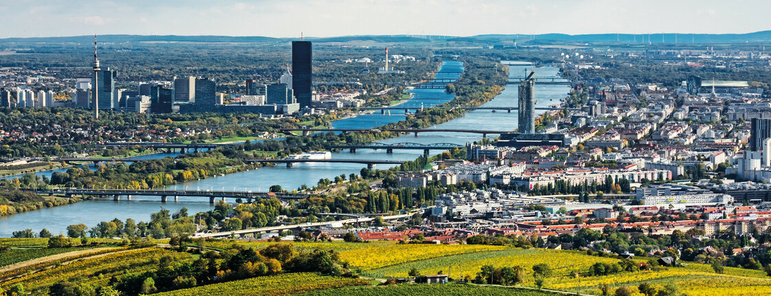 Blick auf Stadt Wien