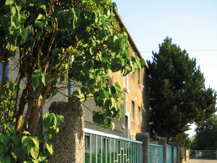 Eine Hausfassade mit einem Baum