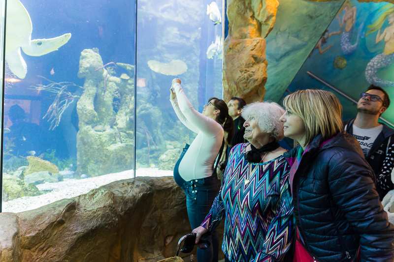 Ein Tag Am Meer Besuch Im Haus Des Meeres Caritas Wien